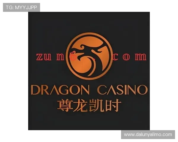 尊龙时凯中国官网入口下载最新版常见问题及客服支持服务全方位解答